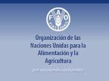 La Representación de la FAO en México le invita a participar en el proceso de selección para las